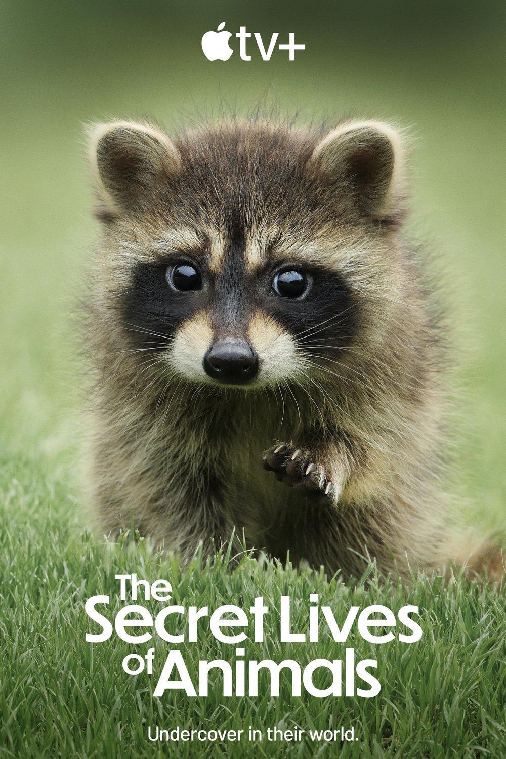 L'affiche du film The Secret Lives of Animals