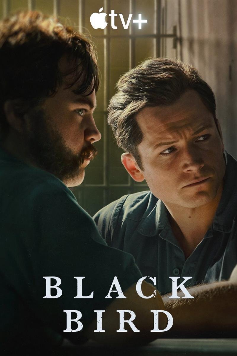 L'affiche du film Black Bird