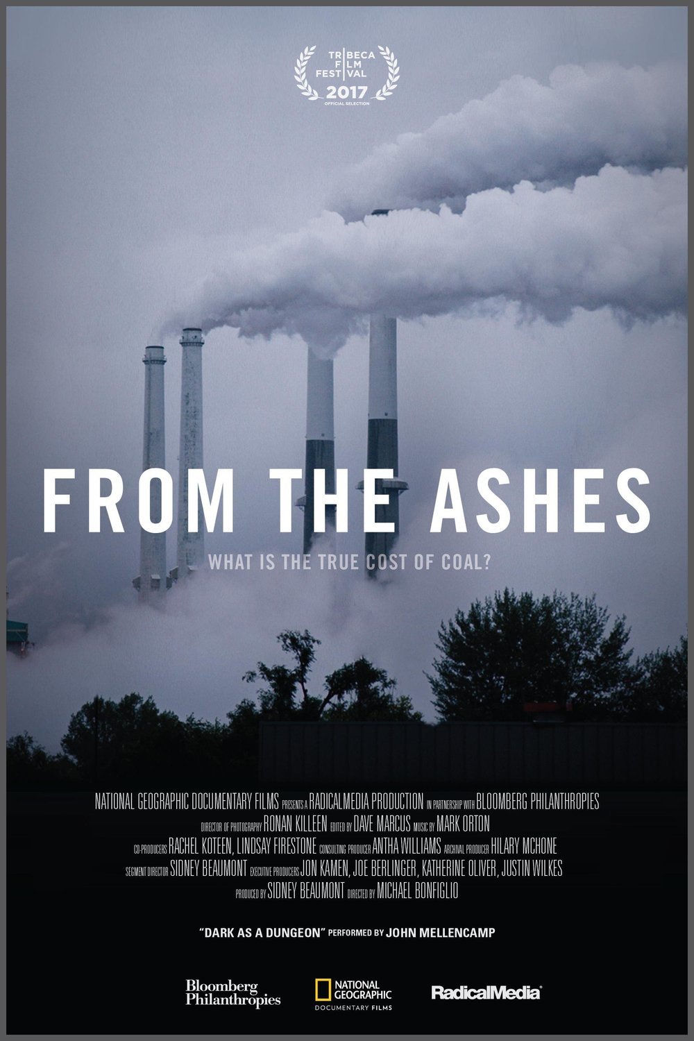 L'affiche du film From the Ashes