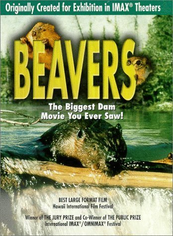 L'affiche du film Beavers