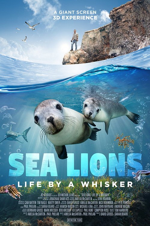 L'affiche du film Lions de mer: Un destin fragile