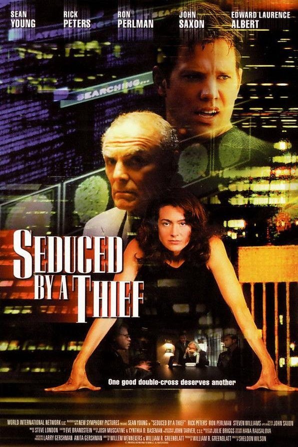L'affiche du film Seduced by a Thief