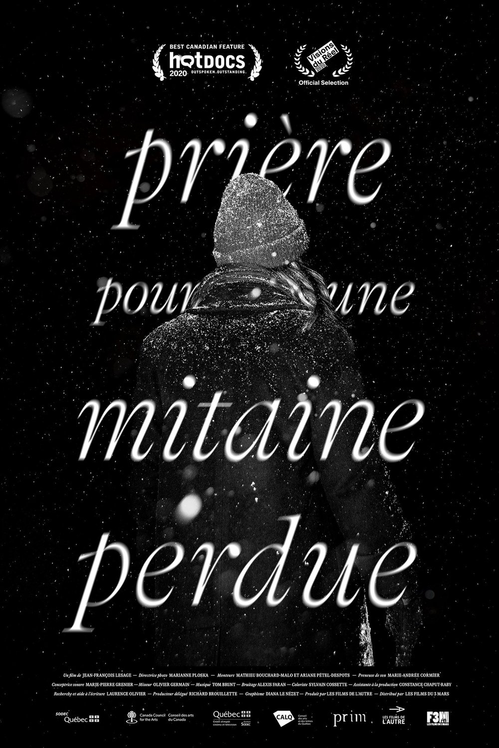 Poster of the movie Prière pour une mitaine perdue