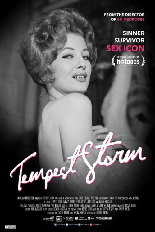 Poster of the movie Tempest Storm [2016]
