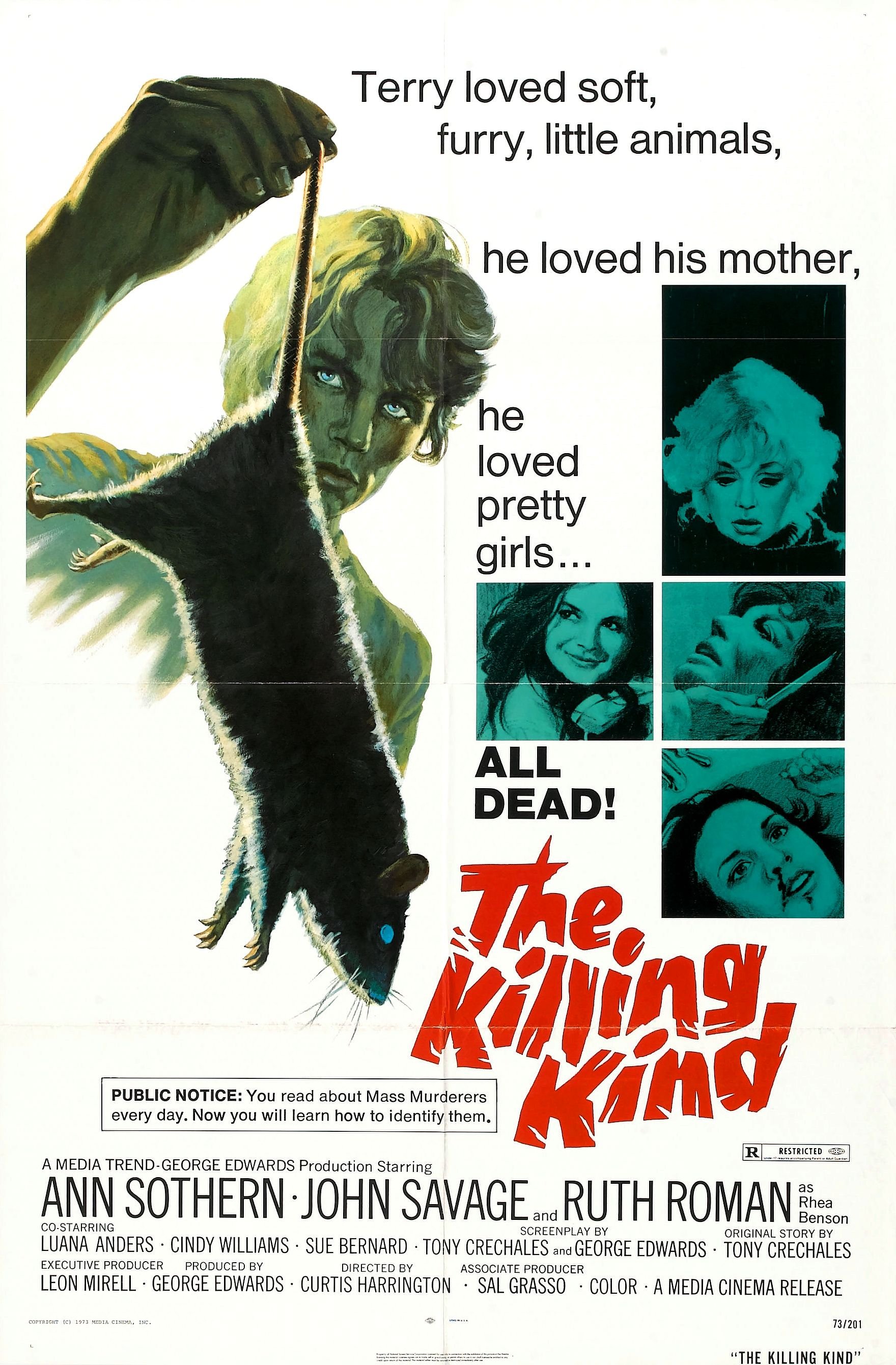 L'affiche du film The Killing Kind