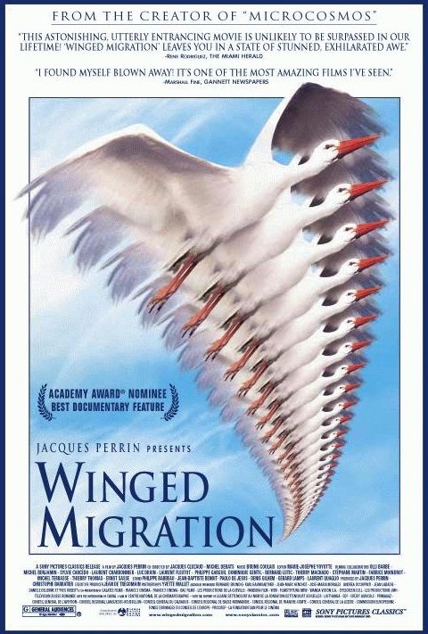 Poster of the movie Winged Migration [2002]