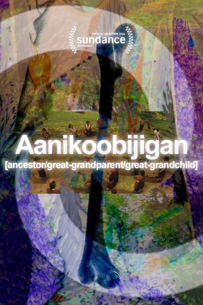 Poster of the movie Aanikoobijigan [2026]