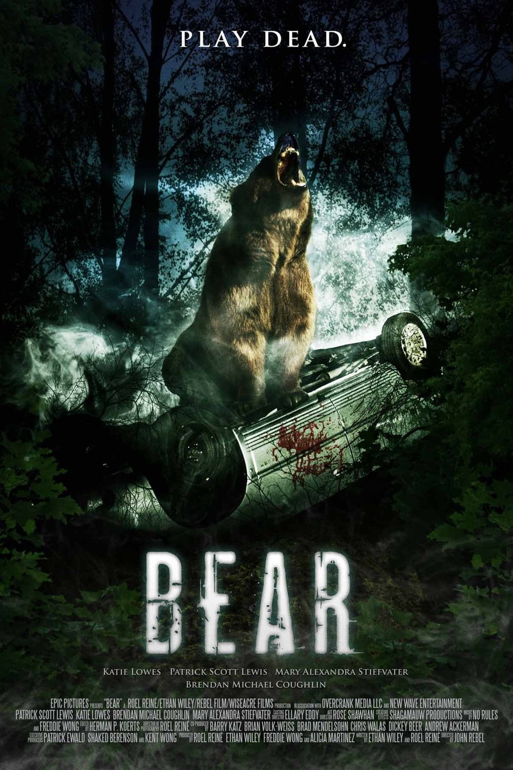 Poster of the movie Bear