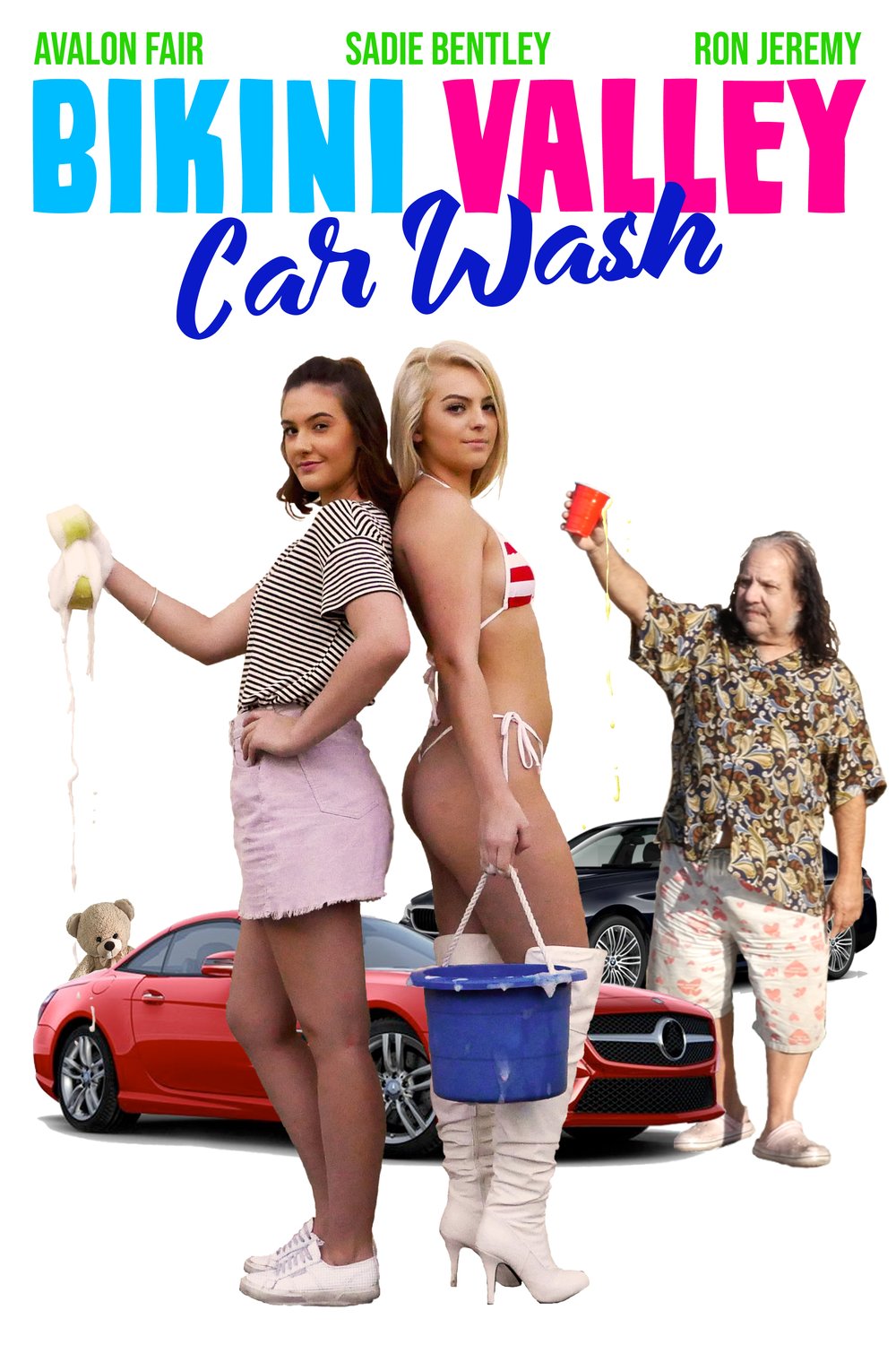L'affiche du film Bikini Valley Car Wash