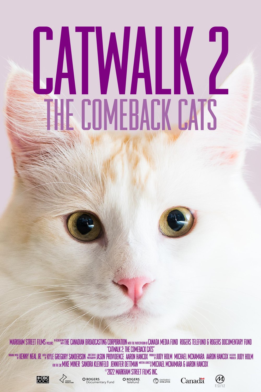 L'affiche du film Catwalk 2: The Comeback Cats