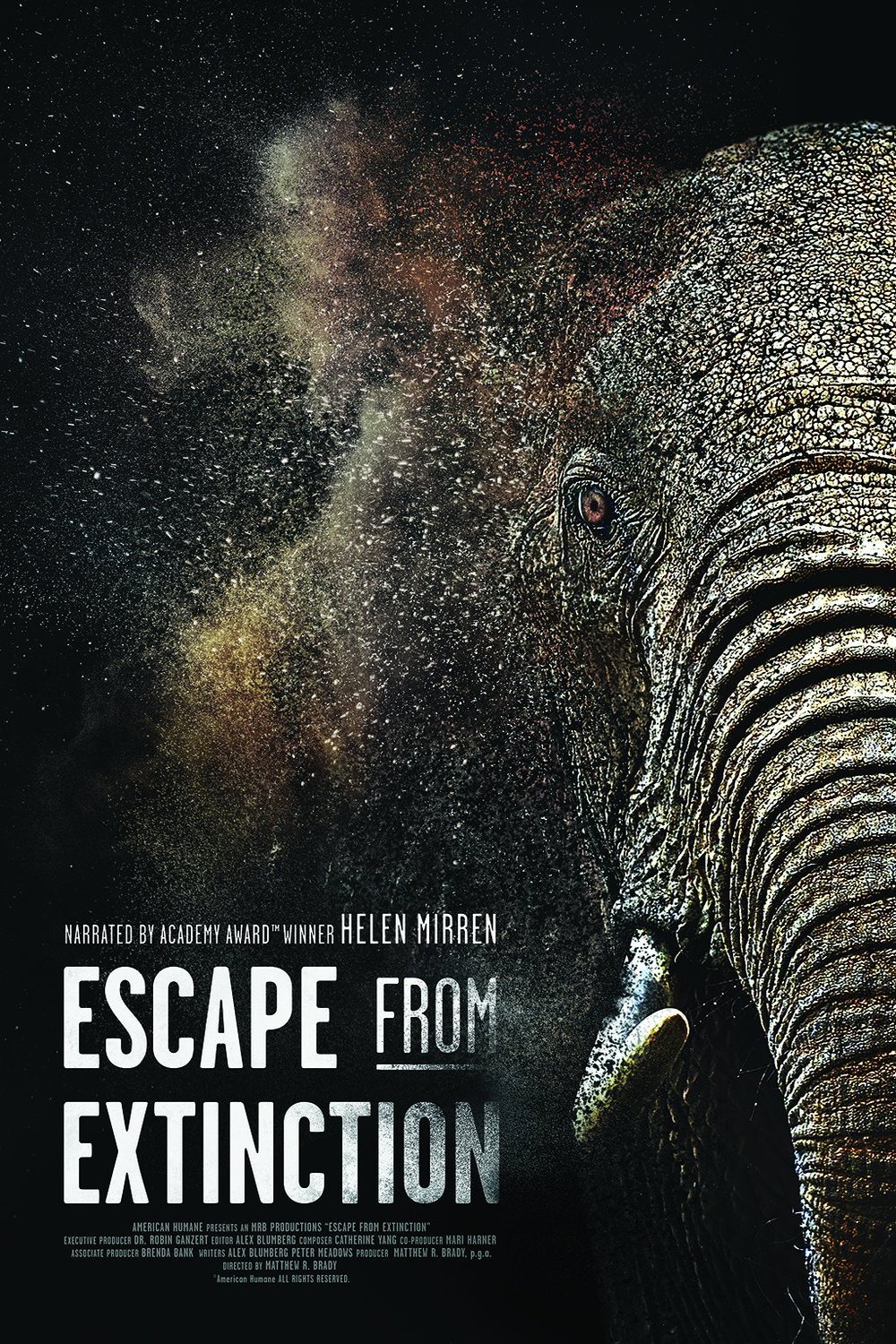L'affiche du film Escape from Extinction