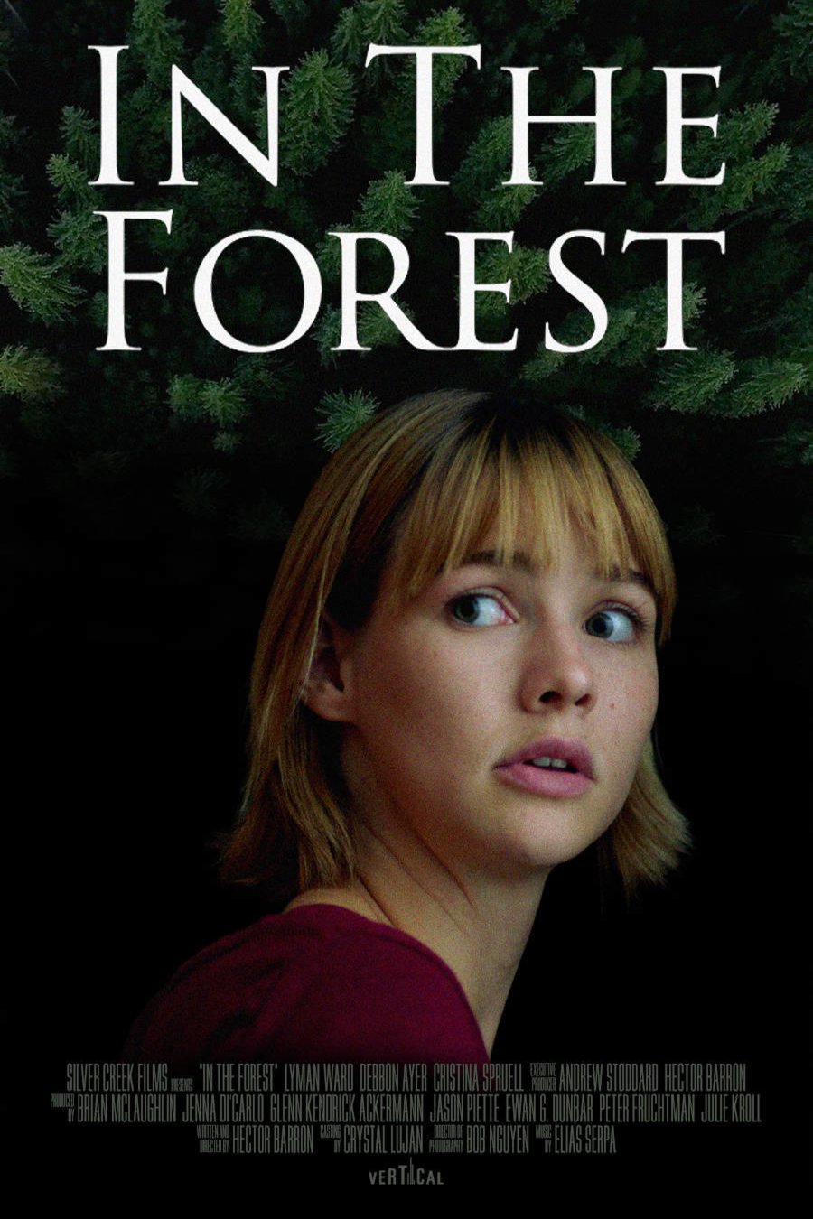 Poster of the movie In the Forest