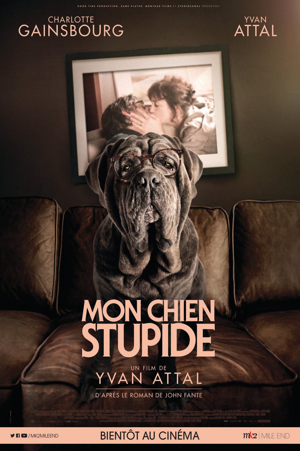 Poster of the movie Mon chien Stupide