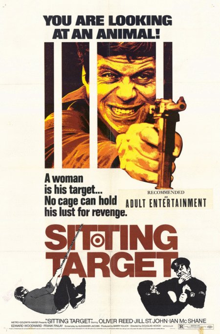 L'affiche du film Sitting Target