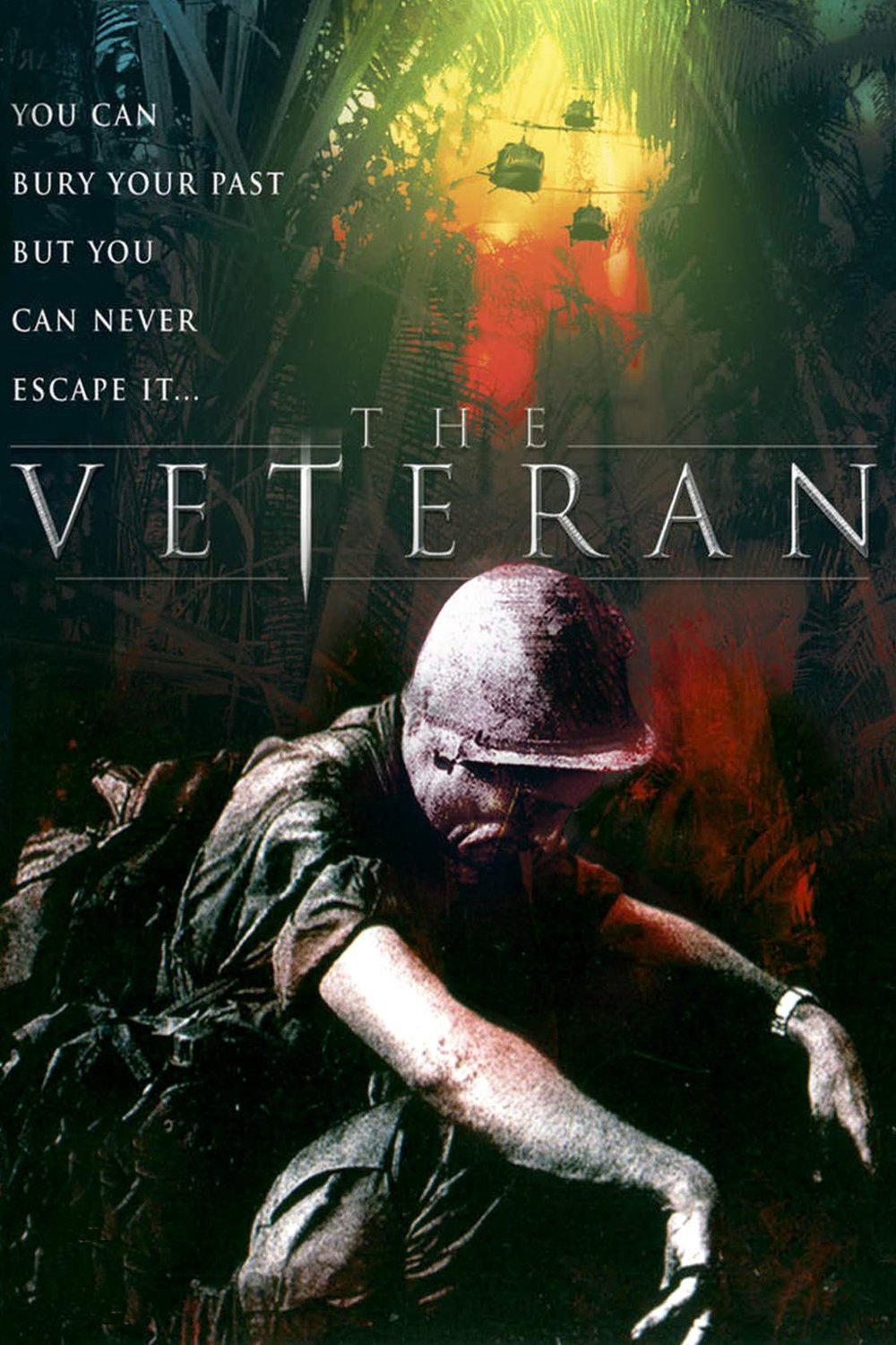 L'affiche du film The Veteran