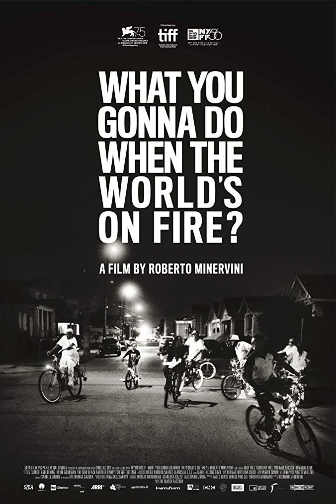 L'affiche du film What You Gonna Do When the World's on Fire?