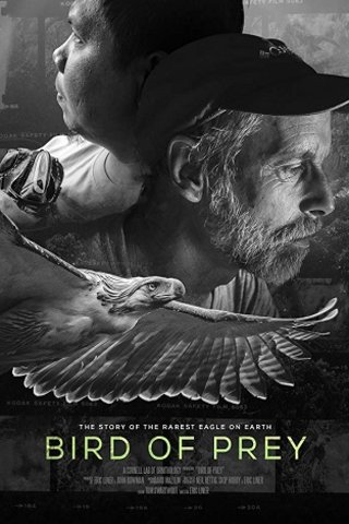 L'affiche du film Bird of Prey