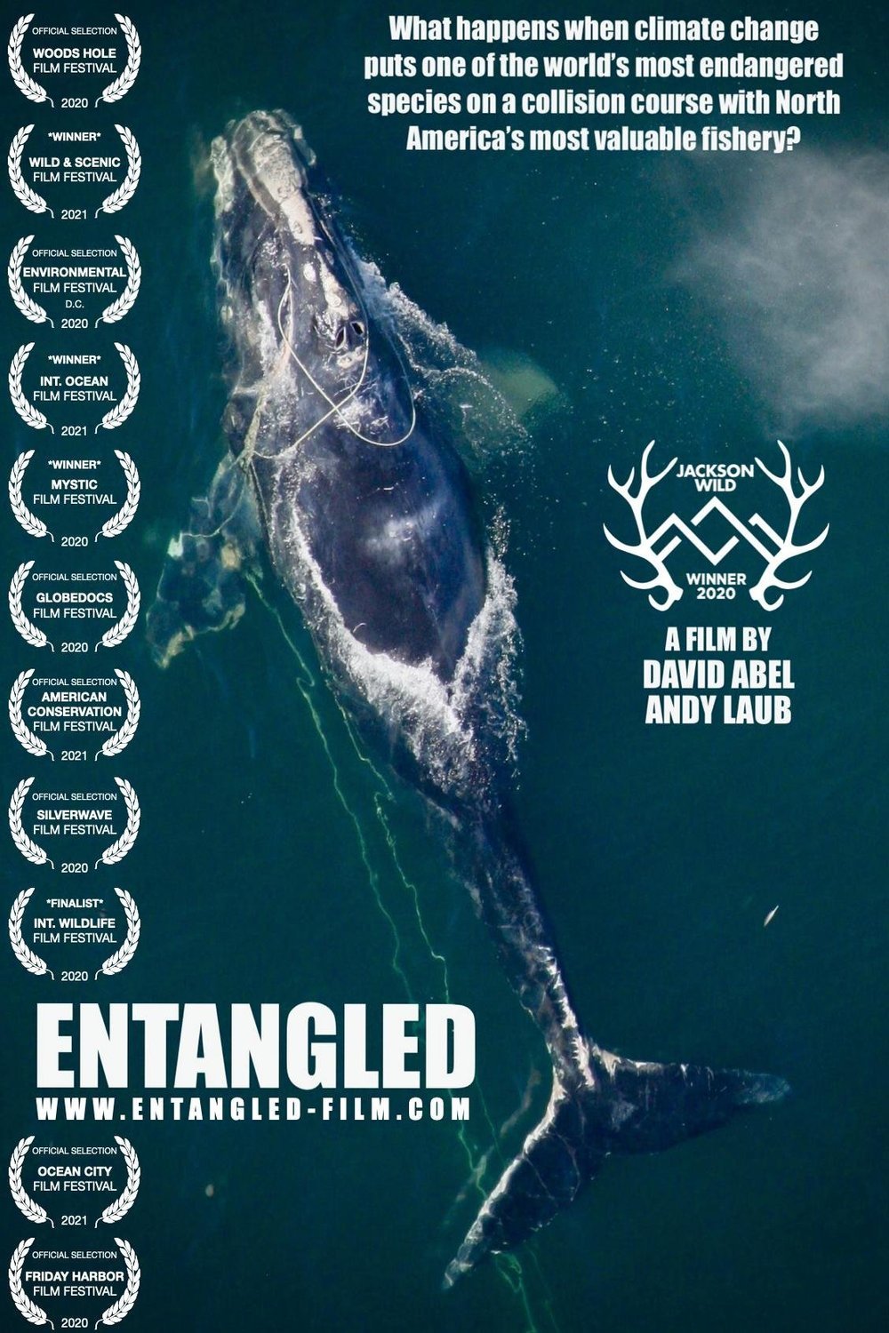 Poster of the movie Entangled: The Race to Save Right Whales from Extinction