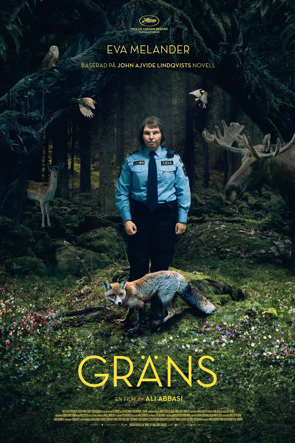 L'affiche du film Gräns [2018]
