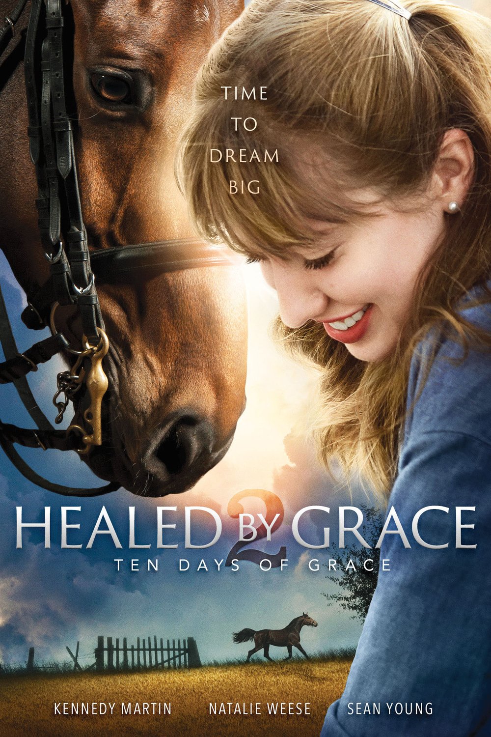L'affiche du film Healed by Grace 2
