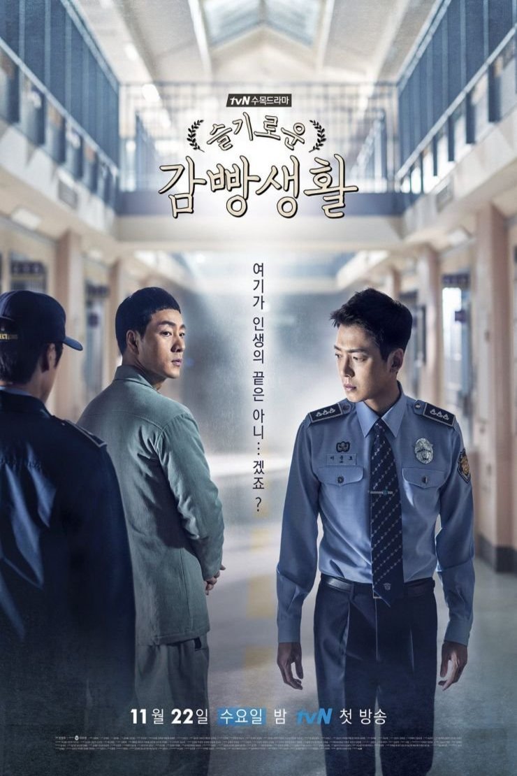 L'affiche originale du film Prison Playbook en coréen