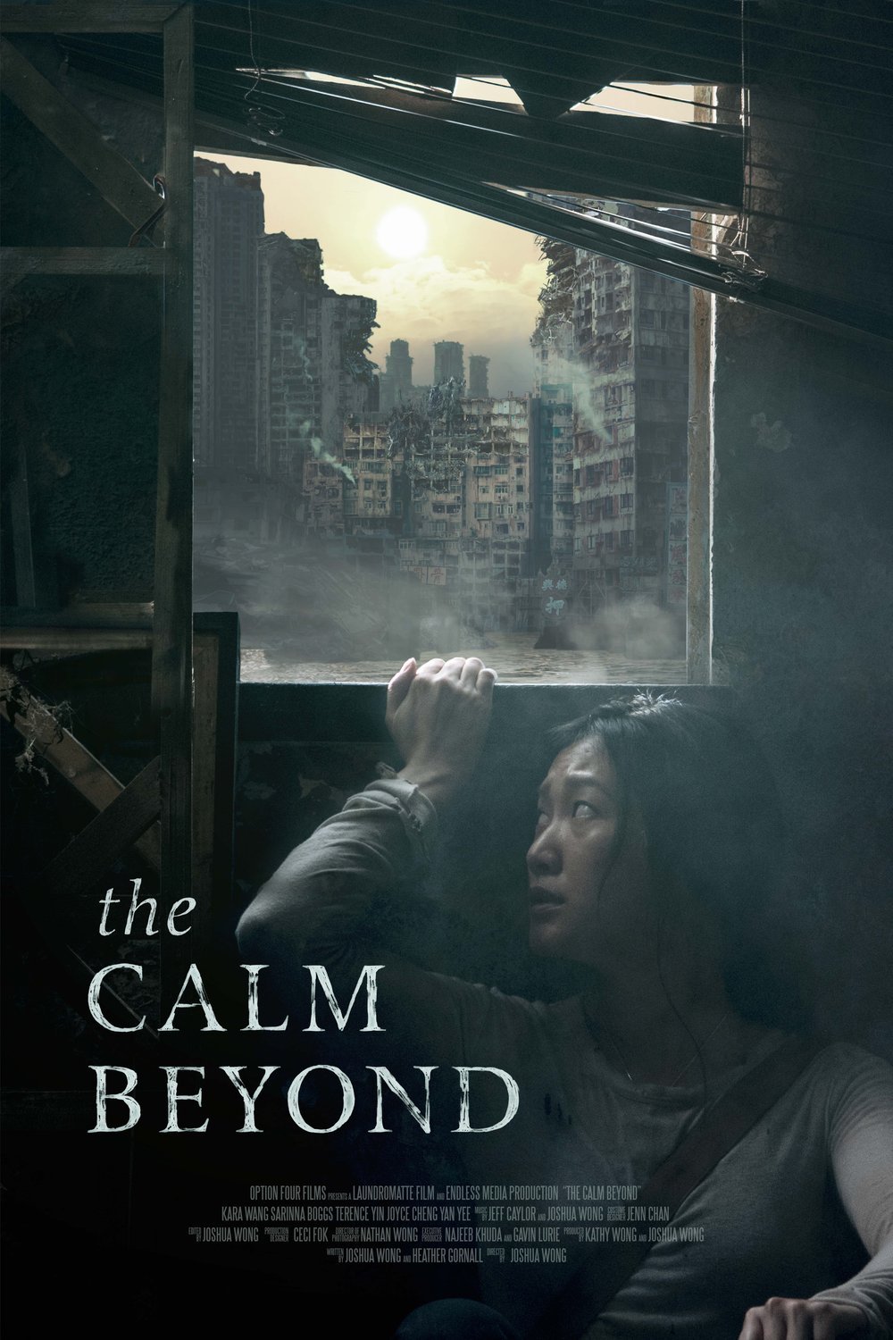 Cantonese poster of the movie The Calm Beyond