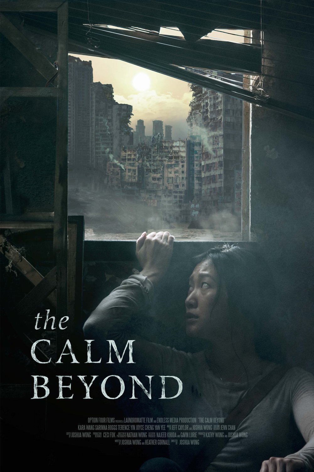 Poster of the movie The Calm Beyond [2020]