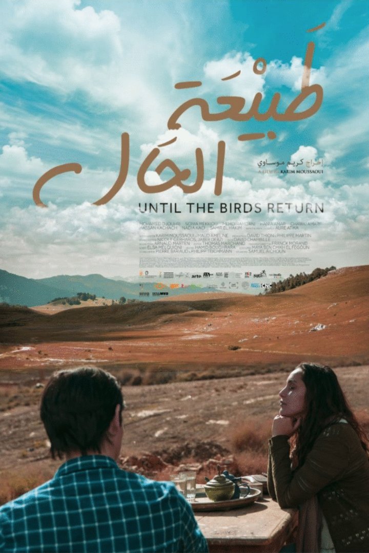 L'affiche du film En attendant les hirondelles