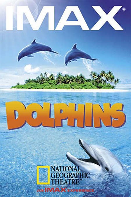 L'affiche du film Dolphins