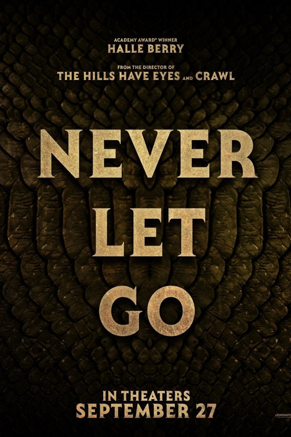 L'affiche du film Never Let Go
