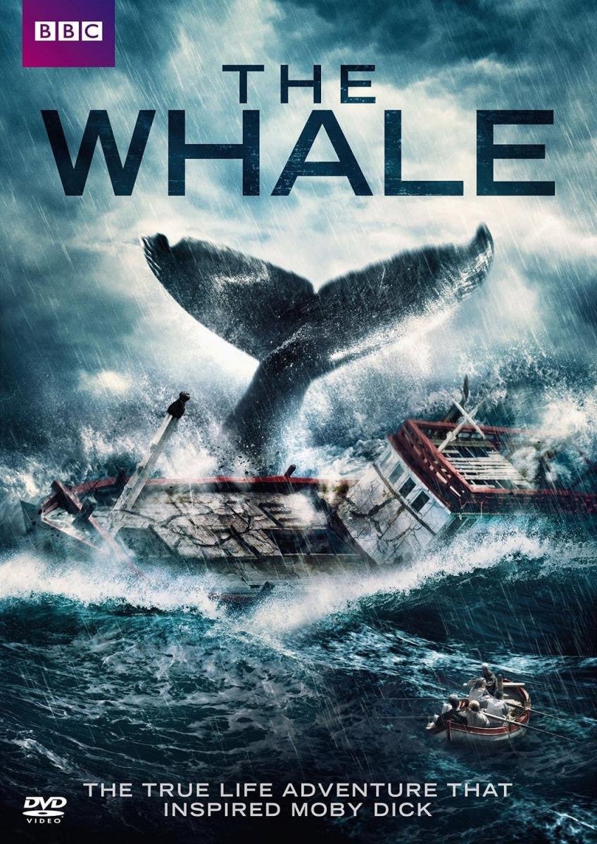 Poster of the movie The Whale