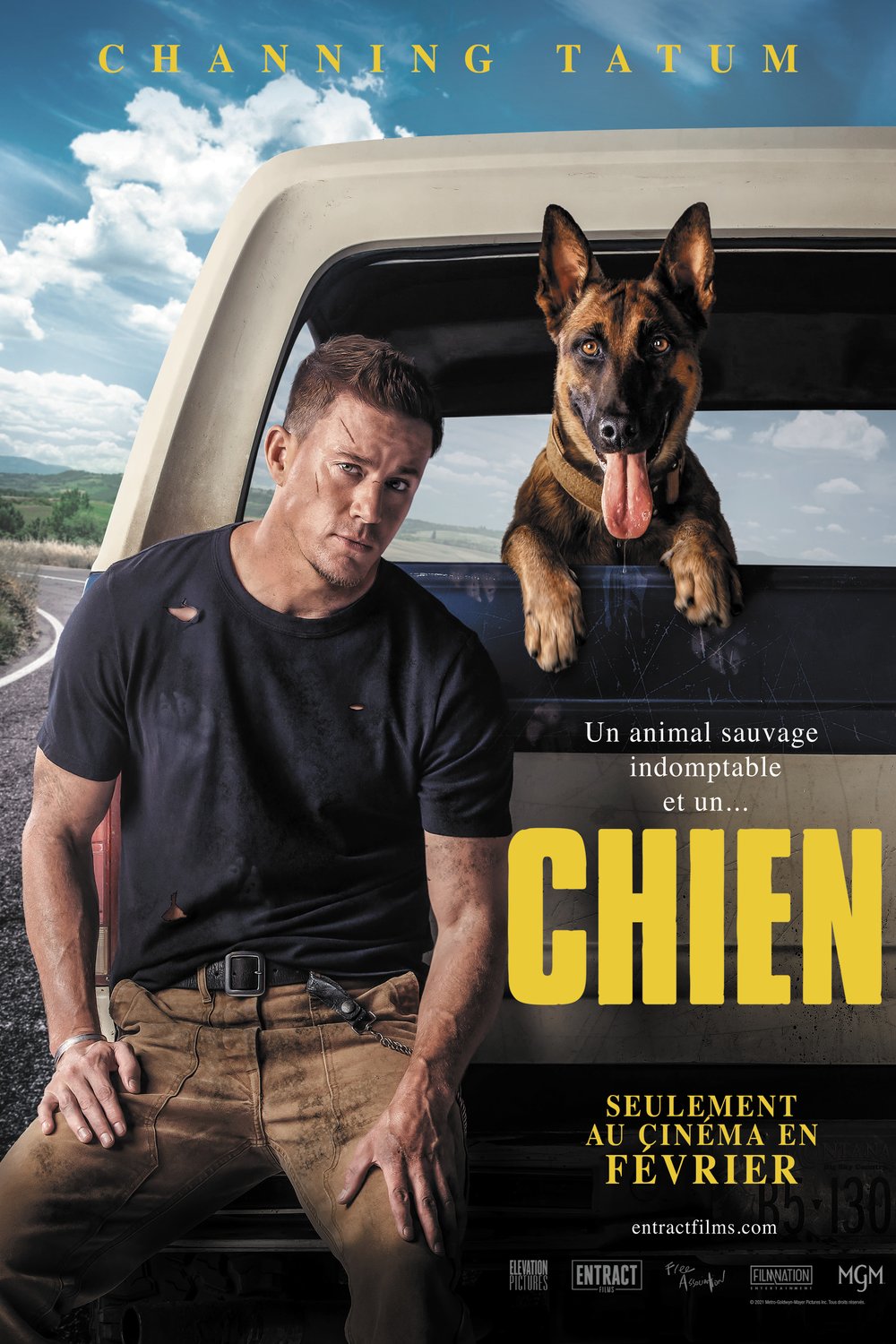 L'affiche du film Chien [2022]