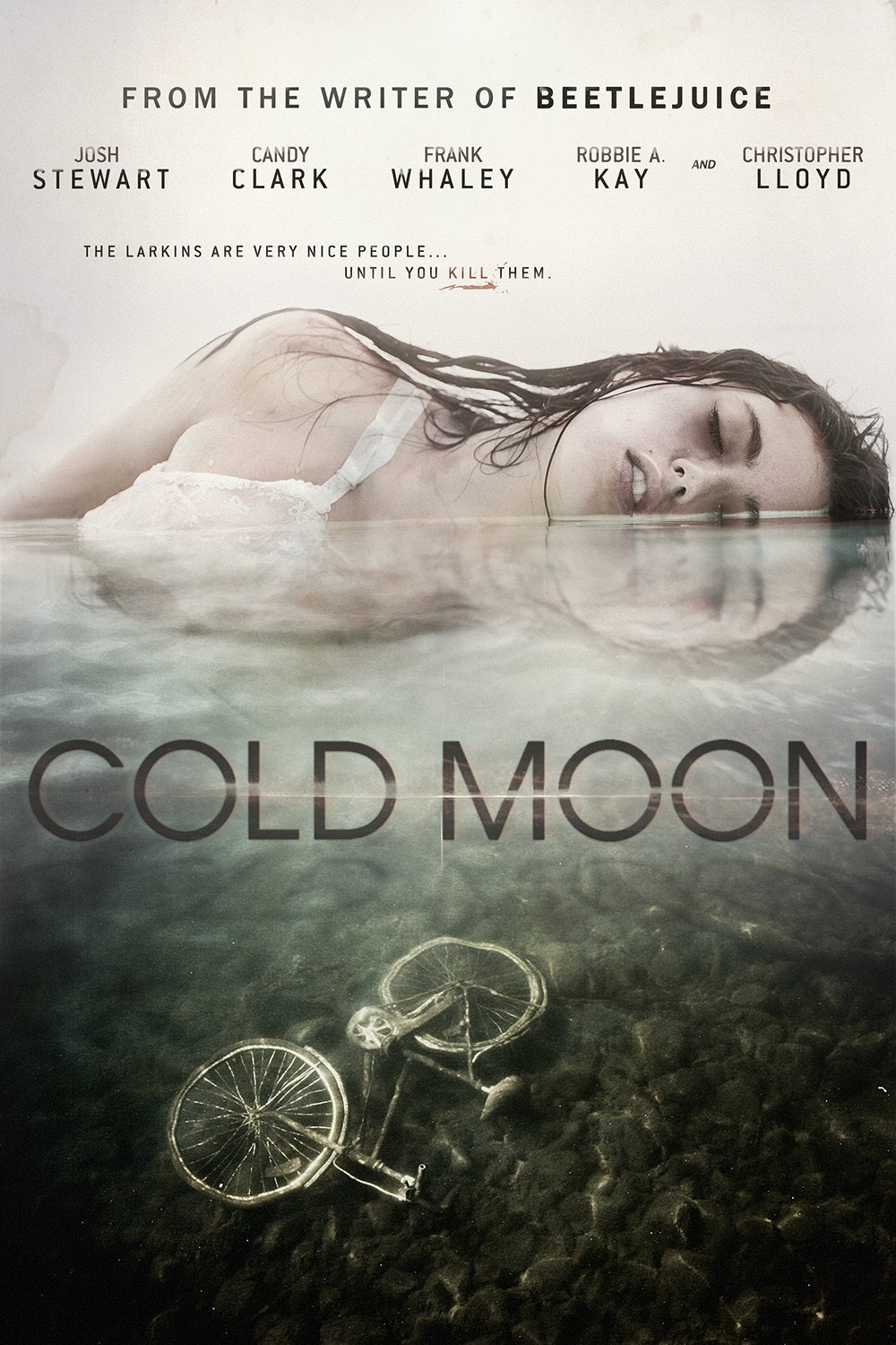 Poster of the movie Cold Moon