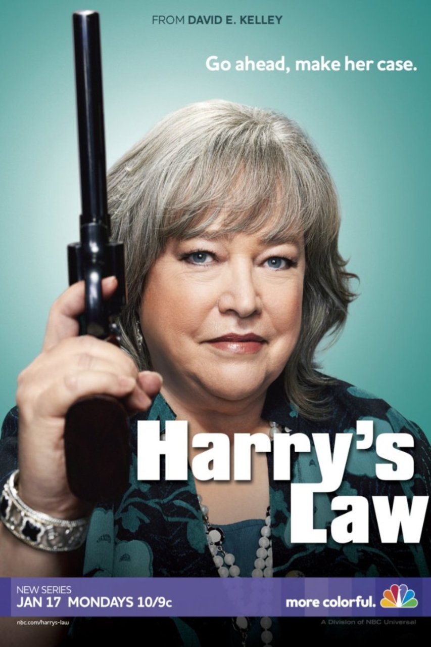 L'affiche du film Harry's Law
