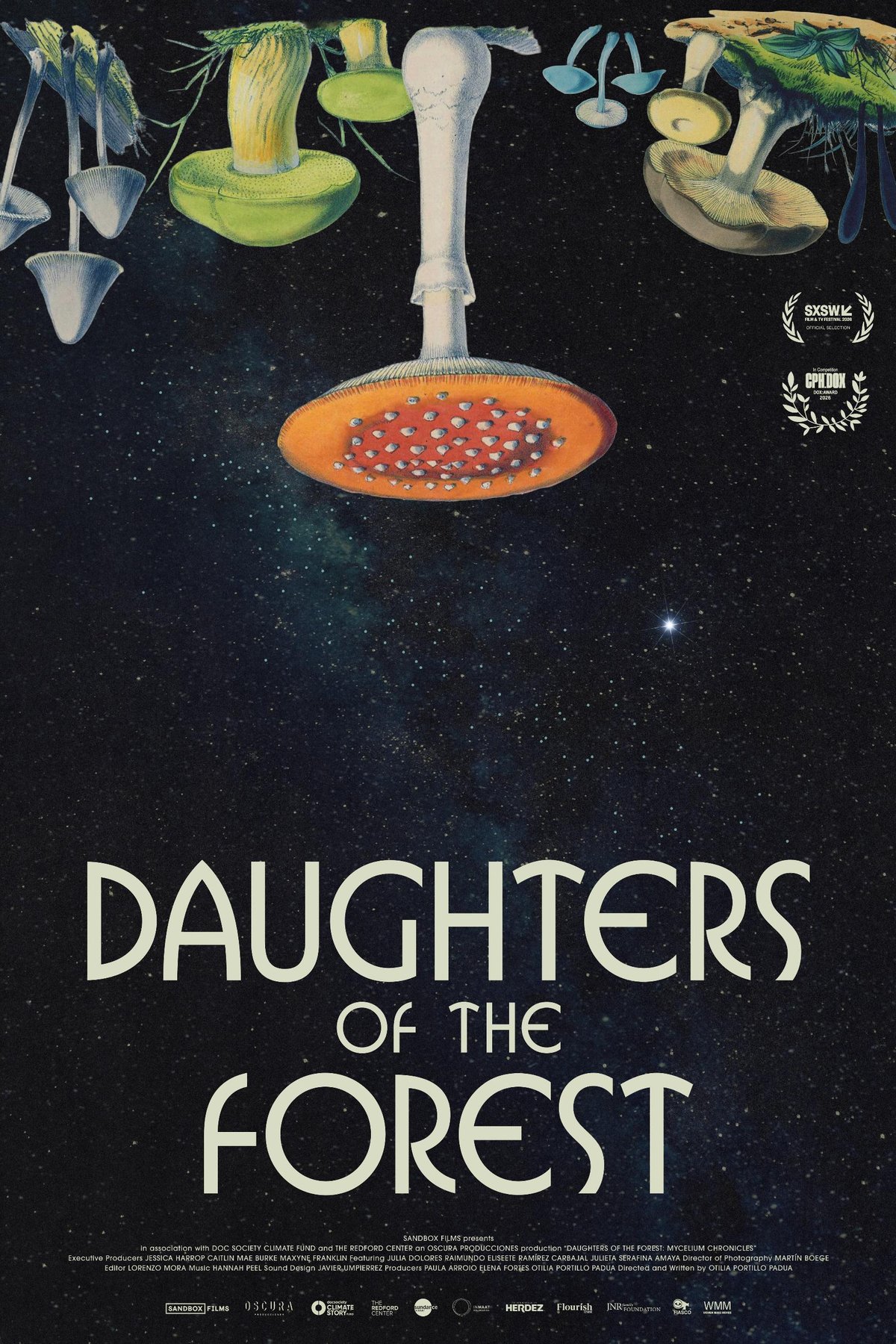 Poster of the movie HIjas del bosque [2026]