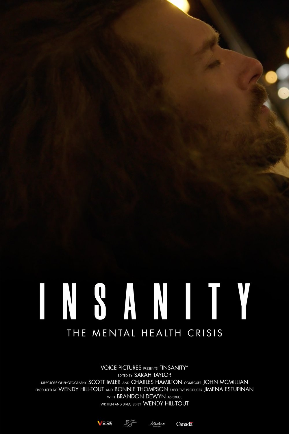 Poster of the movie Insanity: The Mental Health Crisis