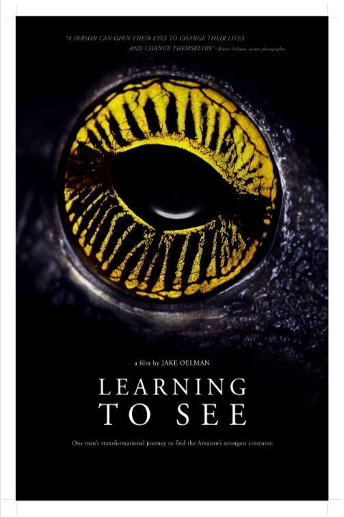Poster of the movie Learning to See: The World of Insects