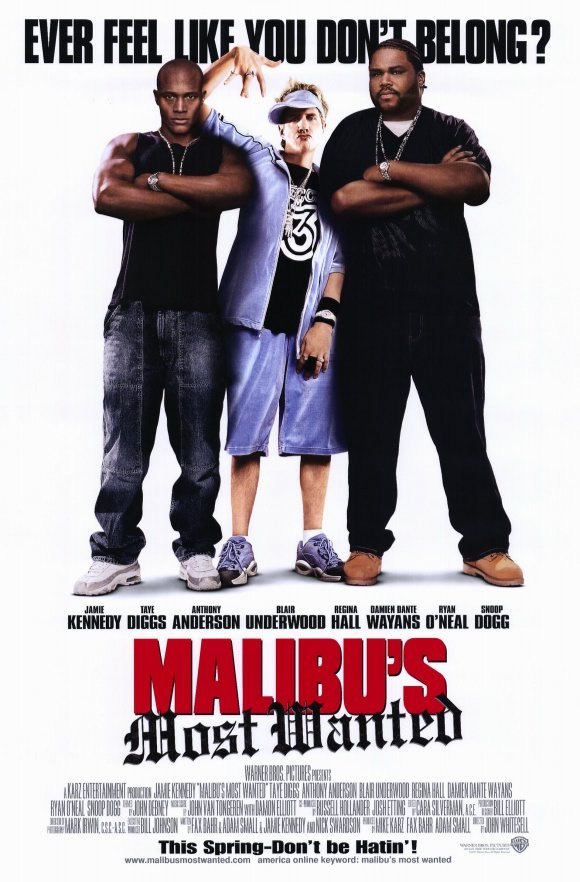 Poster of the movie Malibu's Most Wanted