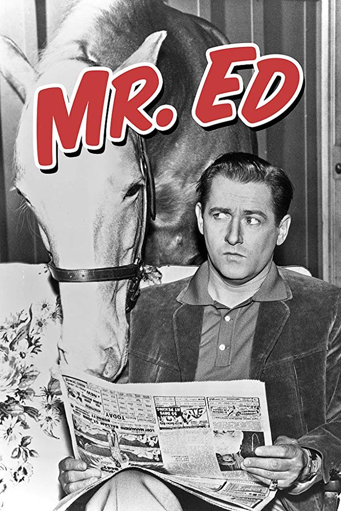 L'affiche du film Mister Ed