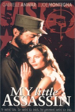 Poster of the movie My Little Assassin