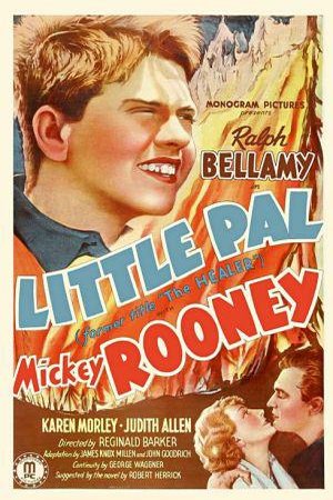 Poster of the movie Little Pal