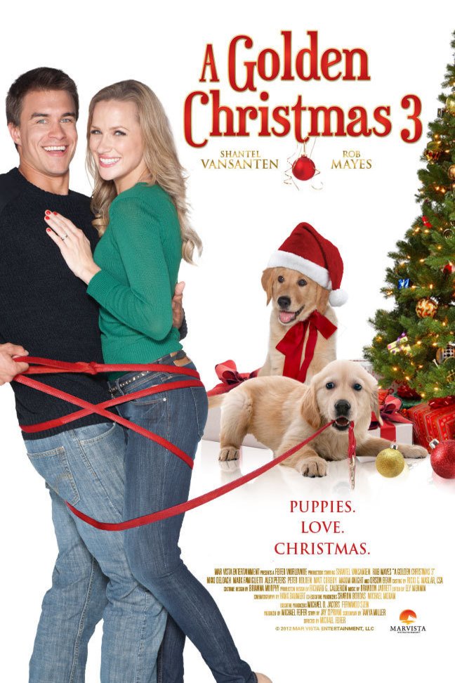 L'affiche du film A Golden Christmas 3