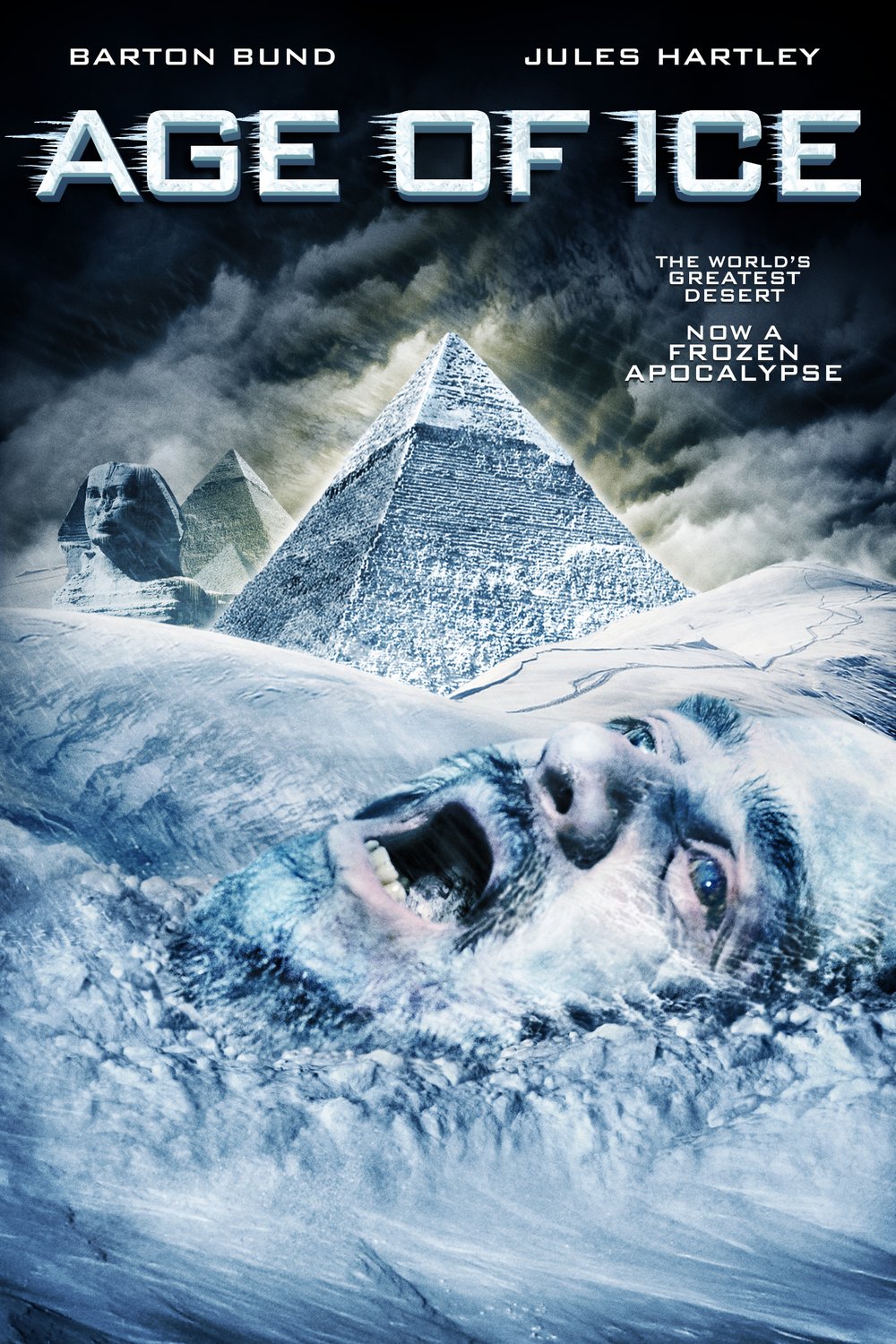 L'affiche du film Age of Ice [2014]