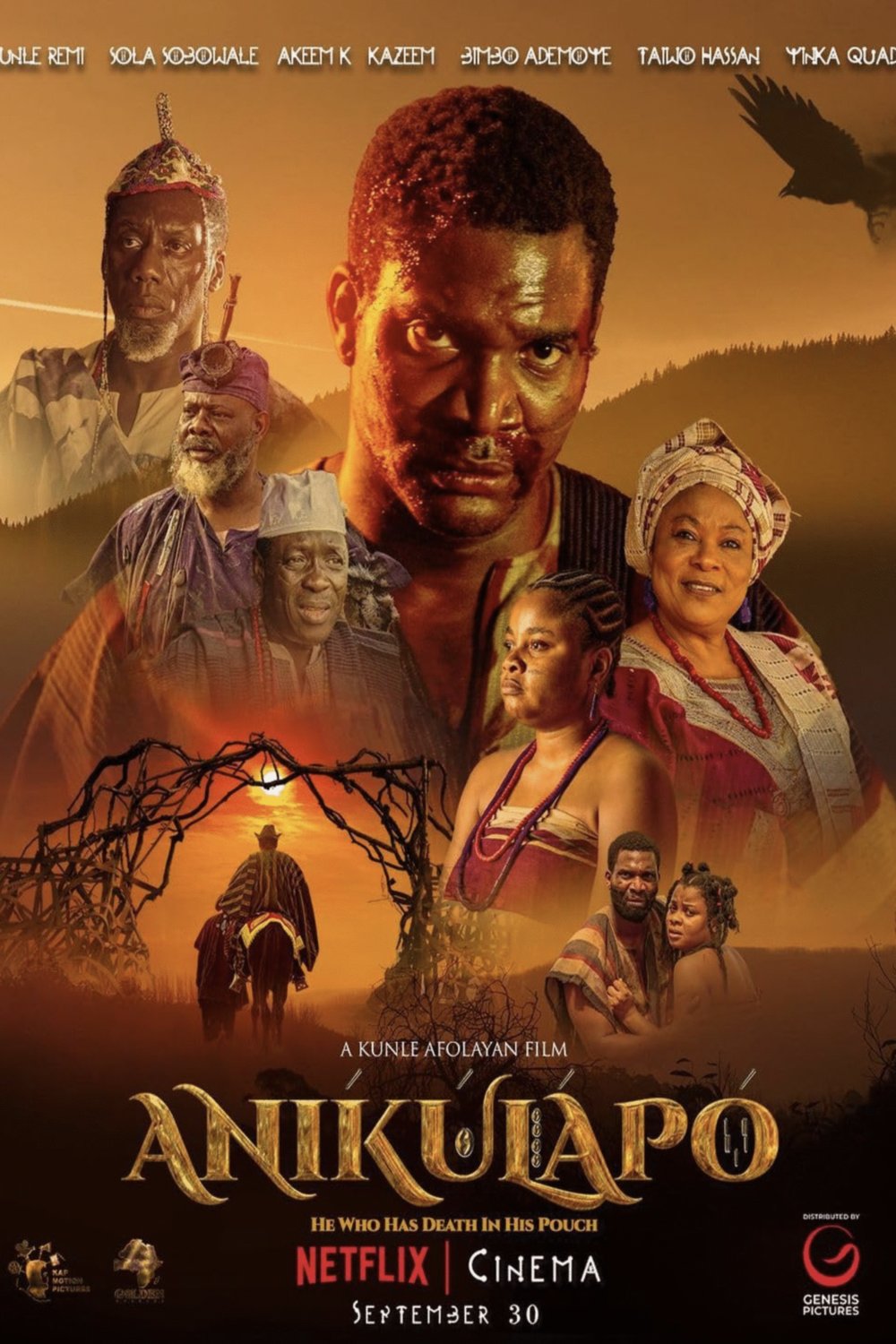 Poster of the movie Anikulapo