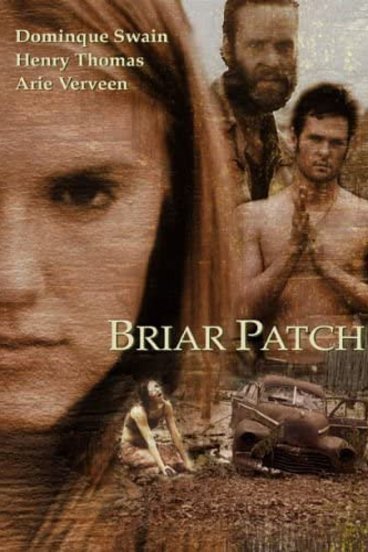 L'affiche originale du film Briar Patch en anglais