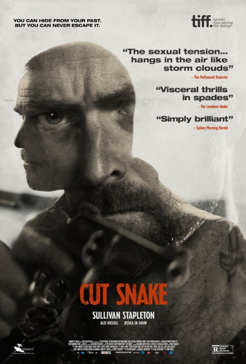 L'affiche du film Cut Snake