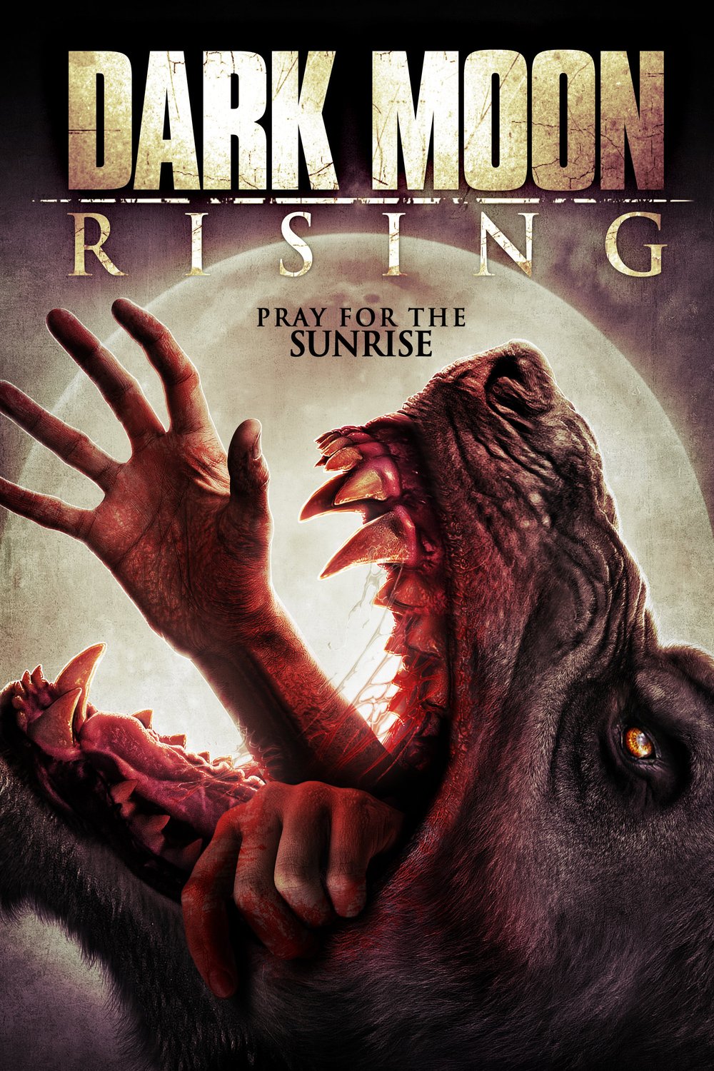 L'affiche du film Dark Moon Rising