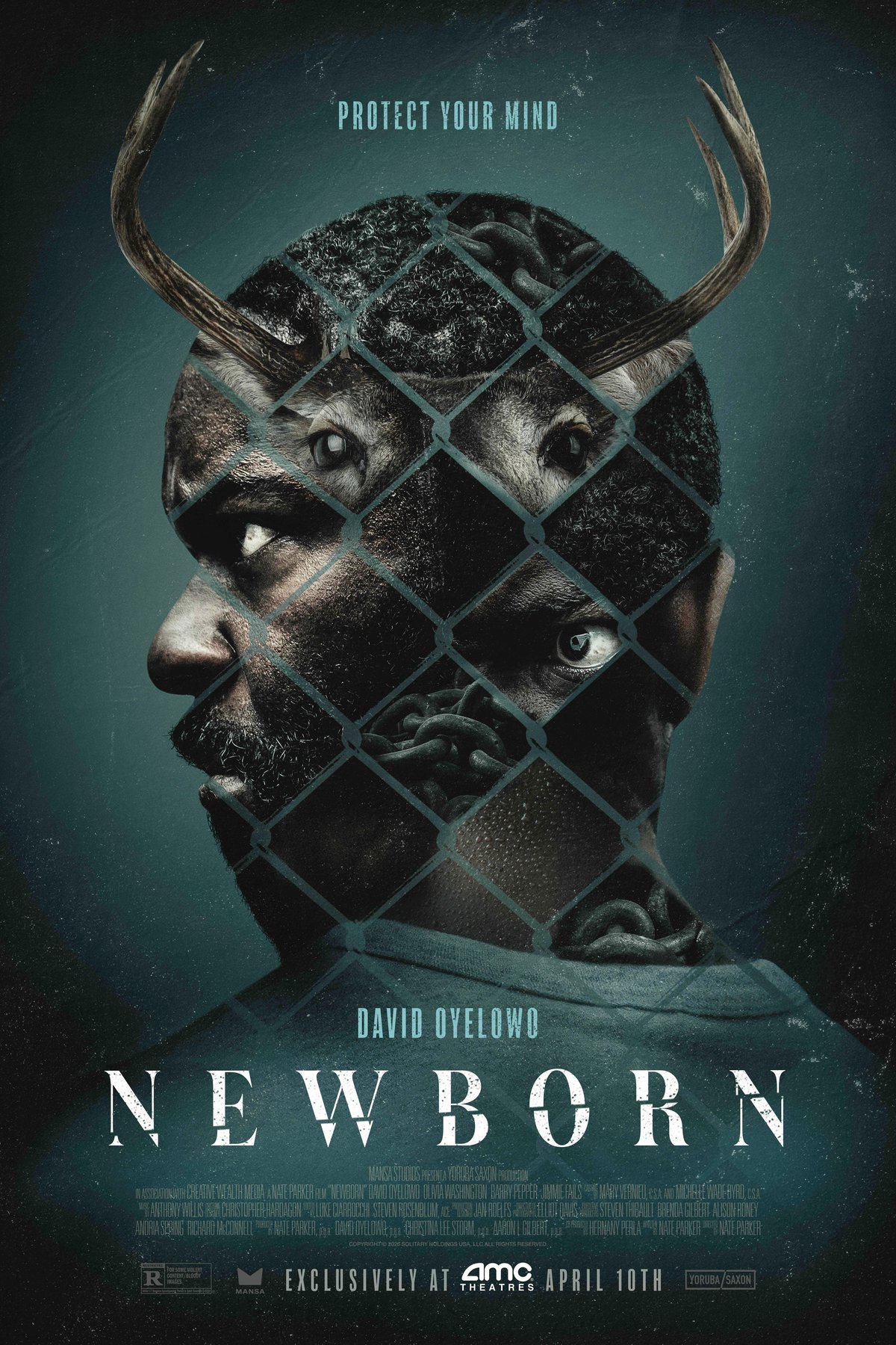 Poster of the movie Newborn