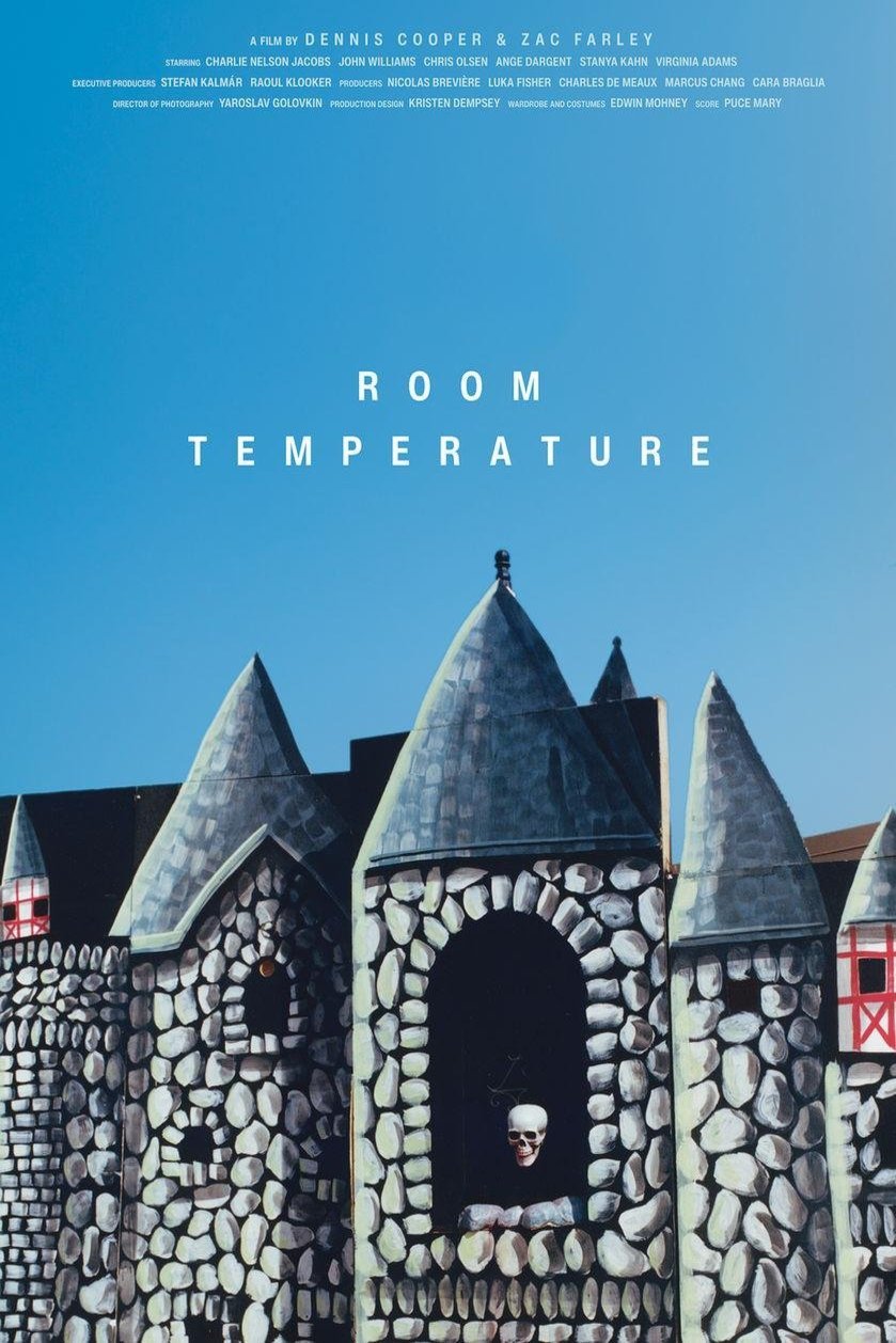 L'affiche du film Room Temperature