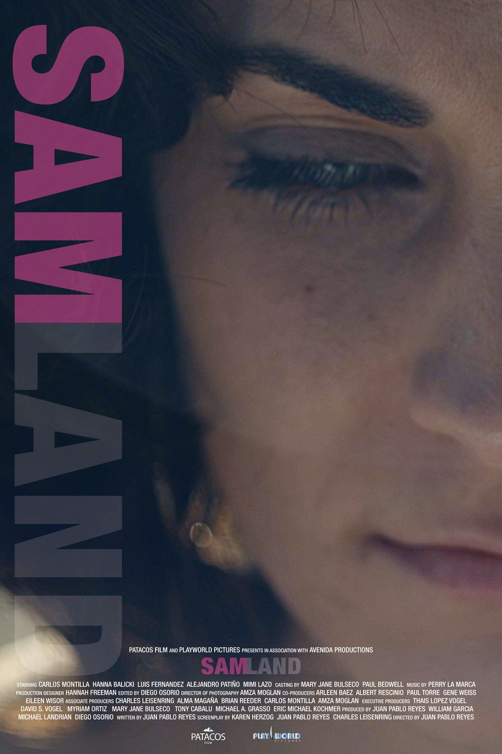 Poster of the movie Samland